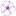 lafleur.com.uy