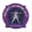 projectquantumleap.com