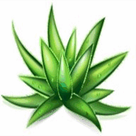 bricomarche-lissanto-villemur.com