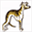 whipcat-whippets.de