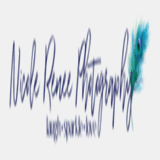 nicolereneephotography.com