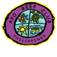 apostoladoleigoinaciano.net