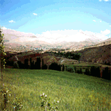 buyukkizilcikkasabasi46.tr.gg