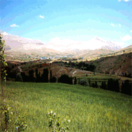 buyukkizilcikkasabasi46.tr.gg