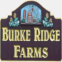 burkeridge.com