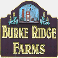 burkeridge.com