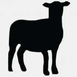 blockchainmanagers.com