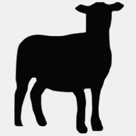 blockchainmanagers.com