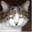 rmuster.ch
