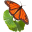 mariposa-canarias.com