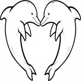 colonichydrotherapy.co.za