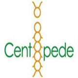 centipedeweb.com