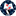 dankonoy.com