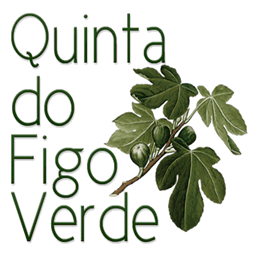 figoverde.com