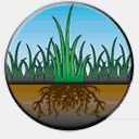 grassroottechnology.com