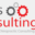 hassconsulting.com