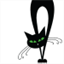 fundamentallyfeline.com