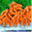 sevpublicmarketproject.wordpress.com