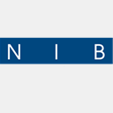 nibaccountants.nl