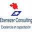 ebenezerconsulting.com