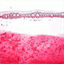 labulledelana.over-blog.com