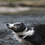 helenkimberphotography.com