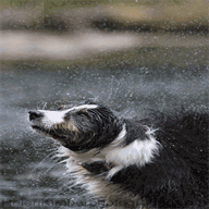 helenkimberphotography.com