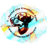 ezdweb.com