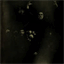 necroblast.bandcamp.com