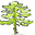 pineforestschool.org