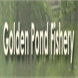goldenpondfishery.co.uk