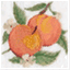 peachysinsights.wordpress.com