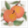 peachysinsights.wordpress.com