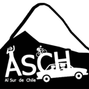 alsurdechile.cl
