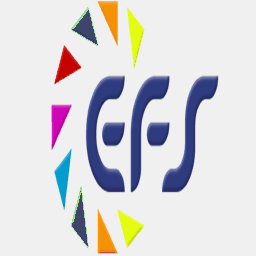 efselektronik.com