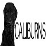 caliburns.se