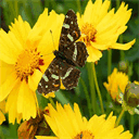 tiernaturheilkunde-kassel.de