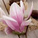 schoonheidssalonhuizen.nl