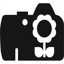 jonasblum.ch