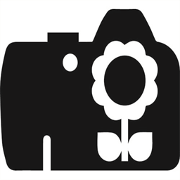 jonasblum.ch