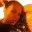 nishamichelle.wordpress.com