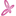 drmoravcikova.sk