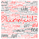 bloomingdaleguidance.org