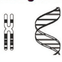 michaelmartine.blogspot.com