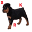 saphirerottweilers.com