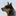 australiancattledog.ch