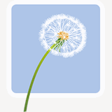 kinderbetreuung-pusteblume.de