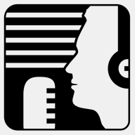 escueladelocutoresdechile.cl