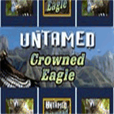 online-casinos-now.com