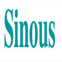 sinousbiz.com